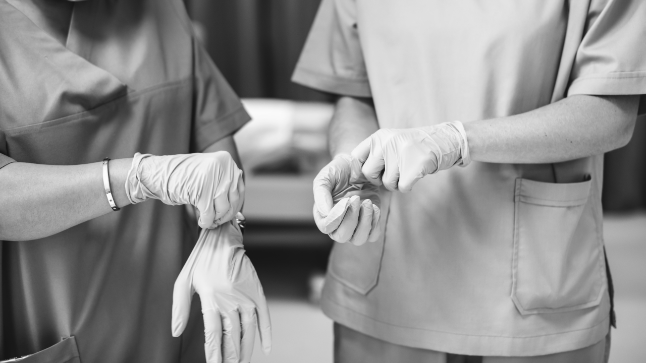 Hajátültetés Törökországban